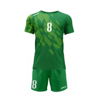 Strój siatkarski Colo Brick 02