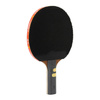 Rakietka do tenisa stołowego ping-ponga Giant Dragon 7★ N8072 + pokrowiec