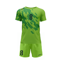 Strój siatkarski Colo Brick 04