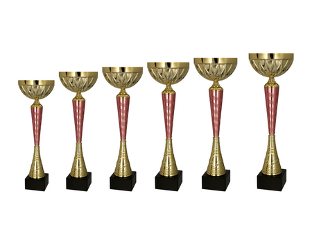 Zestaw 6 pucharów NT985 A,B,C,D,E,F