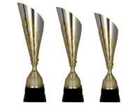 Zestaw 3 pucharów W2078 A,B,C