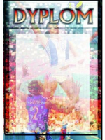 Dyplom siatkówka kobiet DYP66