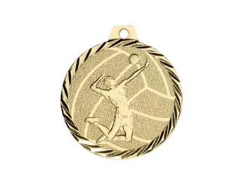 Medal NZ24 siatkówka