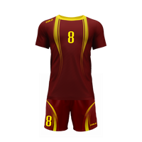 Strój siatkarski Colo Energy 07