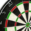 Tarcza sizalowa do darta Bristle Dart Board